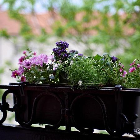 Emily Apartment Kosice Ngoại thất bức ảnh