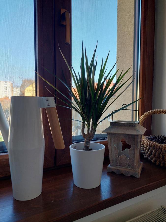 Emily Apartment Kosice Ngoại thất bức ảnh